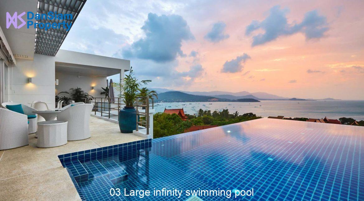 03 Large infinity swimming pool