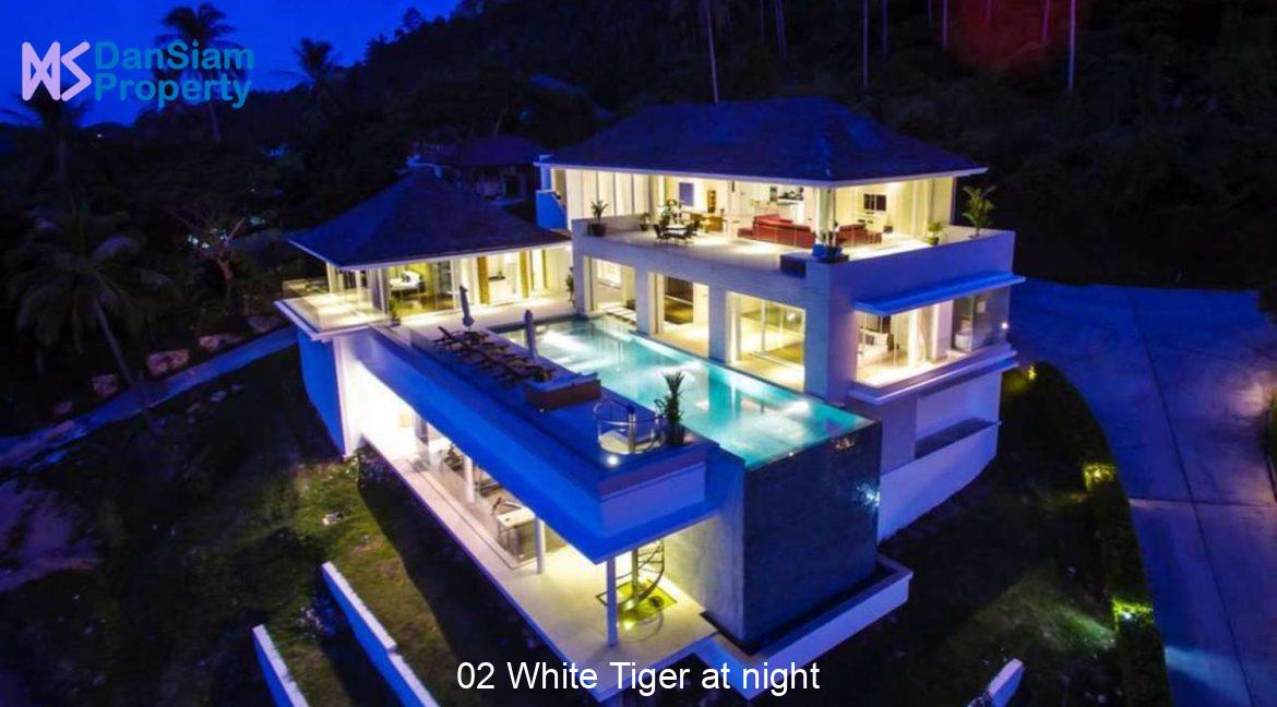 02 White Tiger at night