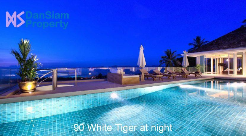 90 White Tiger at night