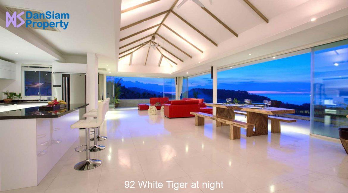 92 White Tiger at night