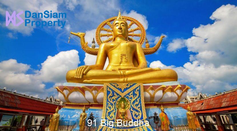 91 Big Buddha