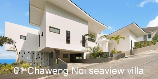 Samui Villa with Wonderful Seaview at Chaweng Noi