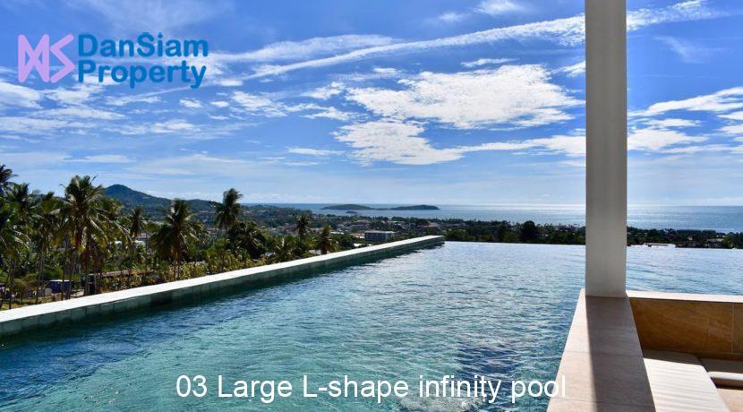 03 Large L-shape infinity pool