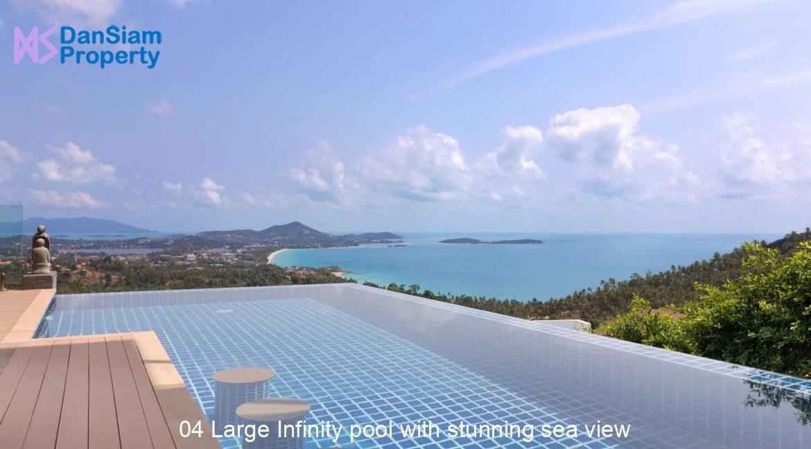 04 Large Infinity pool with stunning sea view