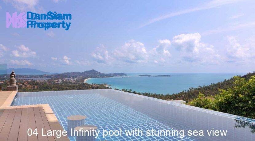 04 Large Infinity pool with stunning sea view