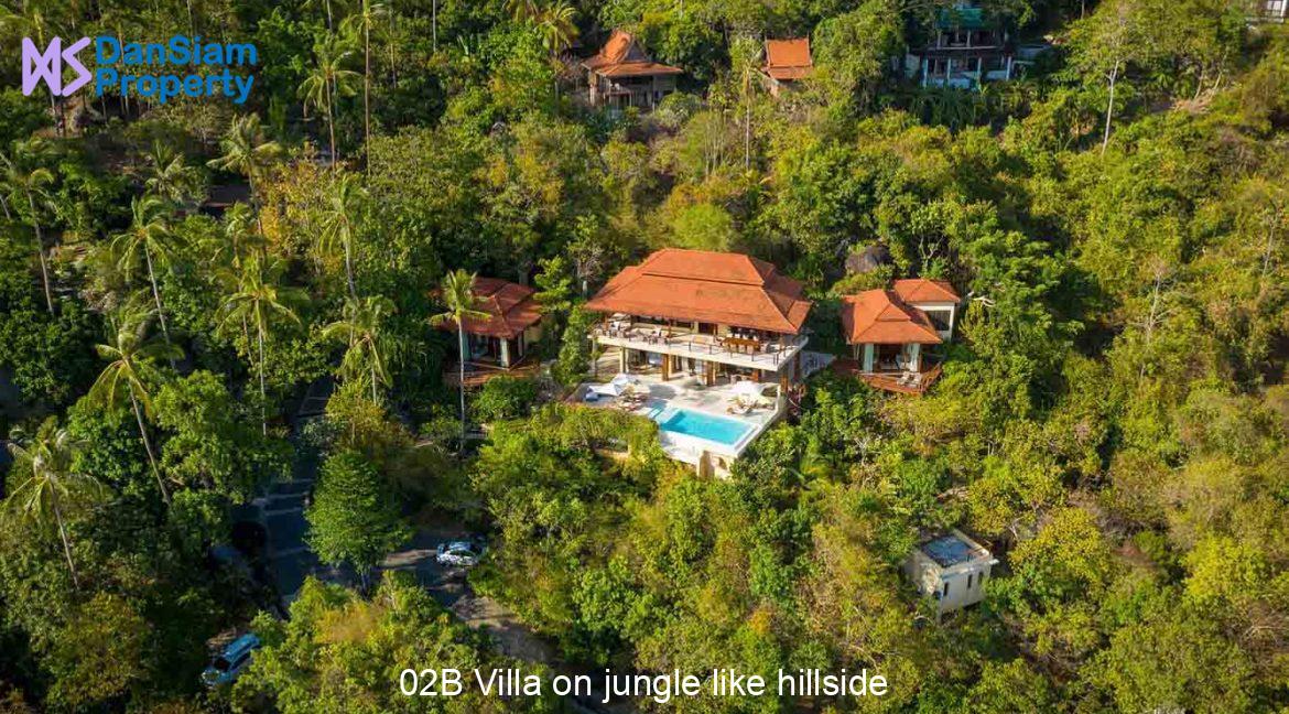 02B Villa on jungle like hillside