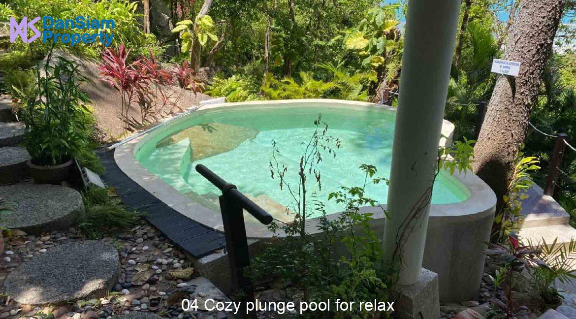 04 Cozy plunge pool for relax