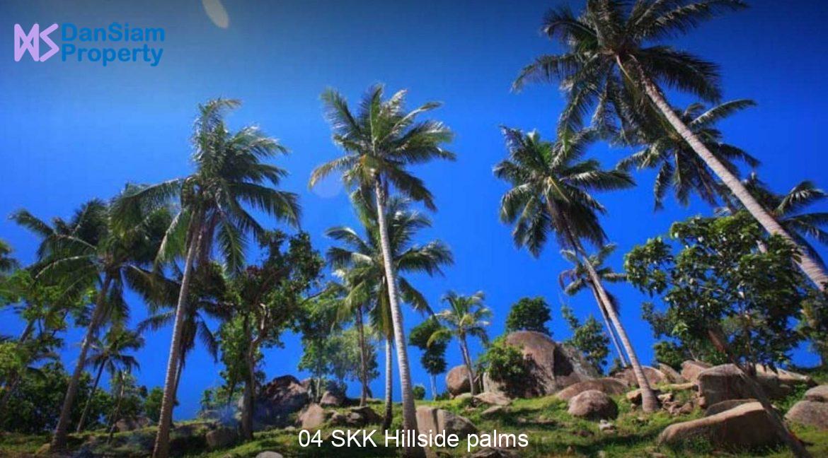 04 SKK Hillside palms