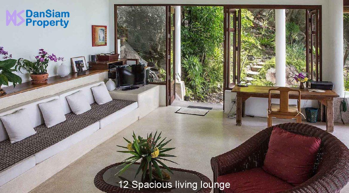 12 Spacious living lounge