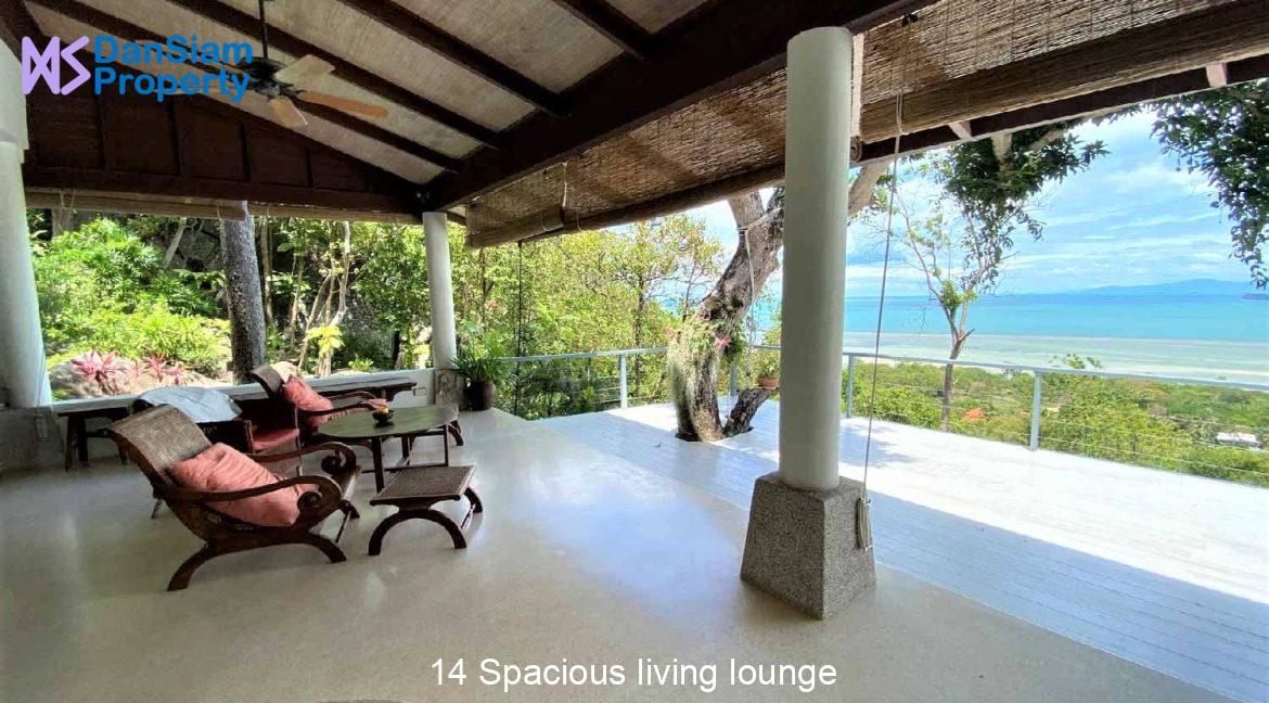 14 Spacious living lounge